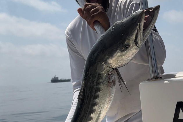 Виды Рыбалка на Фуджейре: тунец, махи-махи