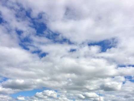 Петровский парк