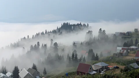 Путешествие из Батуми в Гомис Мта в мини-группе