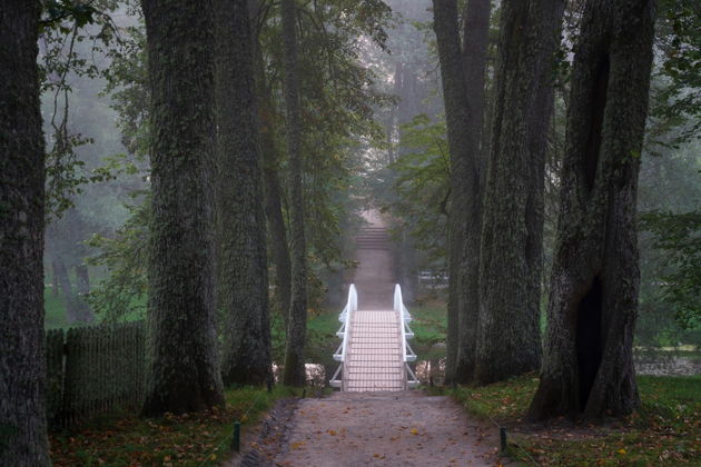 Виды «Нетипично псковские дали»: треккинг в Пушкинских Горах 