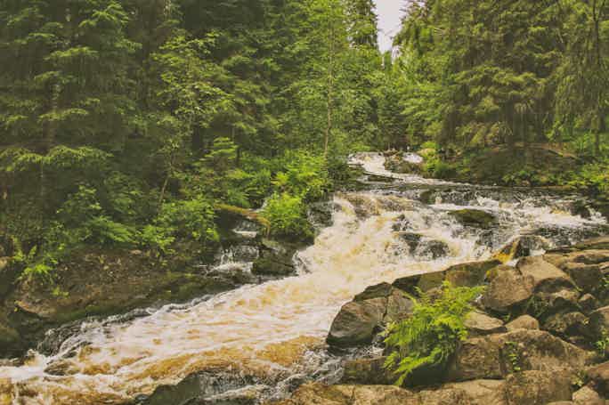 Хиты Карелии: долина водопадов, финская уха, хаски и музей в скале