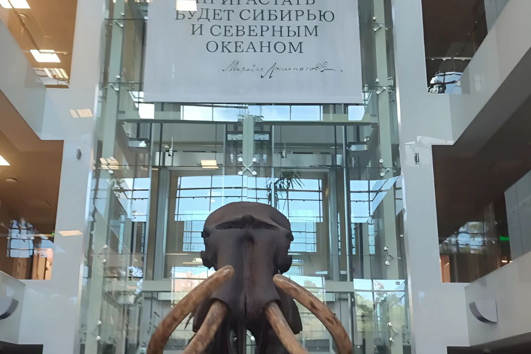 Тропами великих ученых: путешествие по Академгородку — фото 5