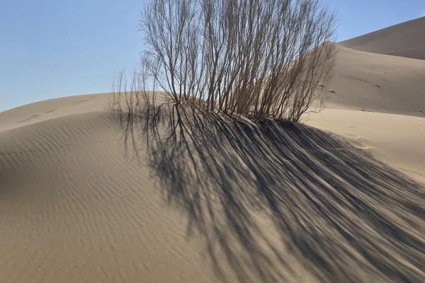 Off-Road Jeep Tour to Altyn Emel National Park — photo 3, Almaty | Pokataem