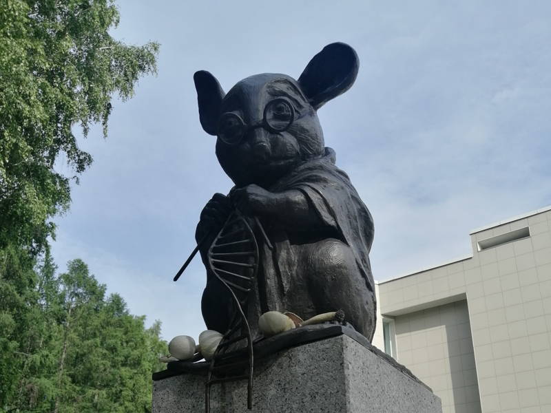 Новосибирский Академгородок: прогулка по городу-лесу