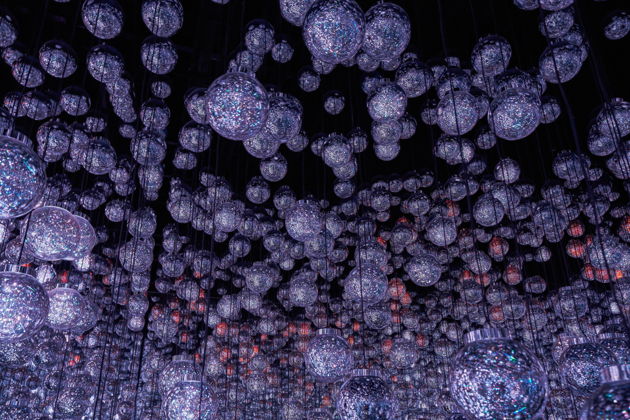 Фото к экскурсии TeamLab Borderless: безграничное цифровое искусство в Токио