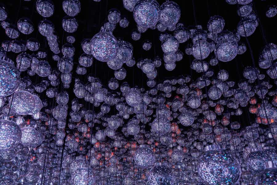 TeamLab Borderless: безграничное цифровое искусство в Токио - фото 2