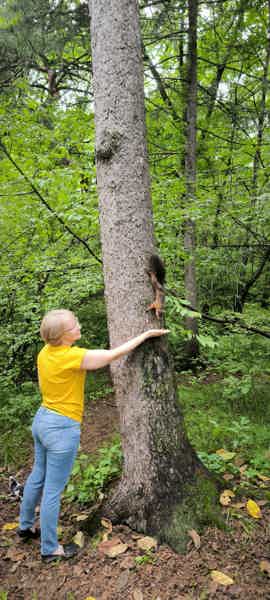 "Зелёная жемчужина Хабаровска" экскурсия в Дендрарий с таёжным чаем - фото 5