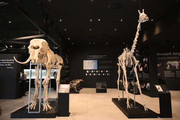 From Baku to Gobustan and the Absheron Peninsula (group tour) — photo 4, Baku | Pokataem