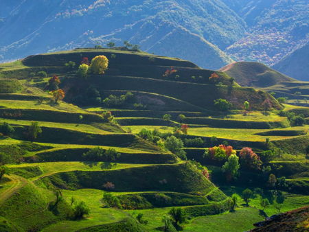 Чохские террасы