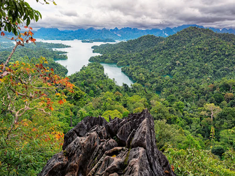 Jumanji — photo 2, Phuket | Pokataem