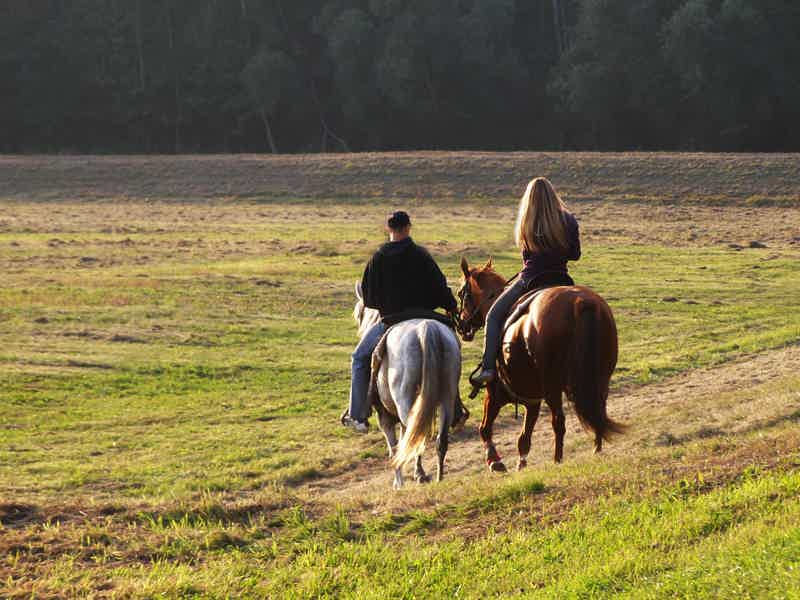 Прогулка на лошадях и общение с животными  - фото 6