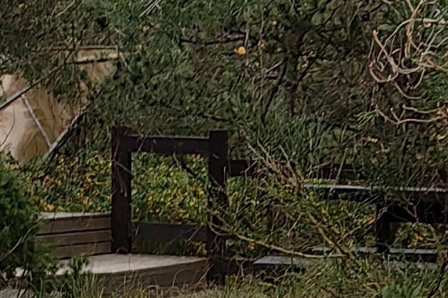 Виды В гости к Неринге - Куршская Коса, Зеленоградск и сыроварня