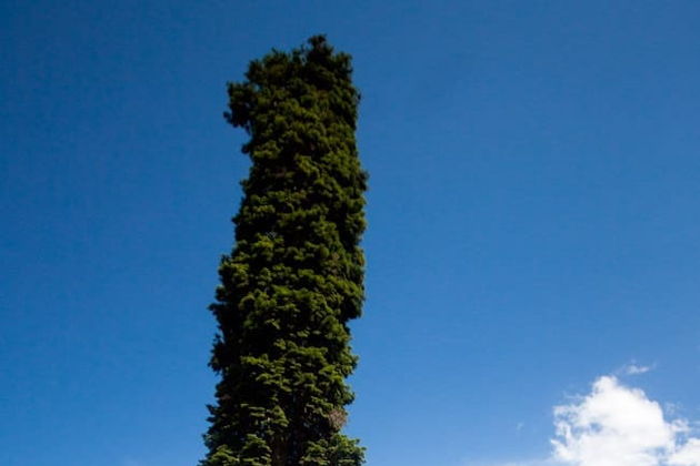 Виды Храмы Дзамского ущелья и горное озеро Батети