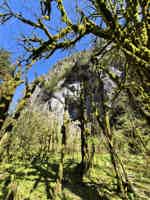 Экскурсия "Самое главное в Абхазии за один день в мини-группе" - фото отзыва 3