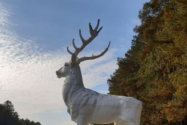 Виды В Беловежскую пущу на майские праздники