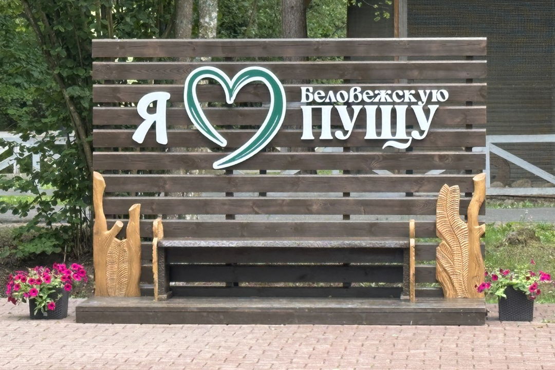 Трансфер Брест — Беловежская пуща и обратно с индивидуальным сопровождением — фото 6