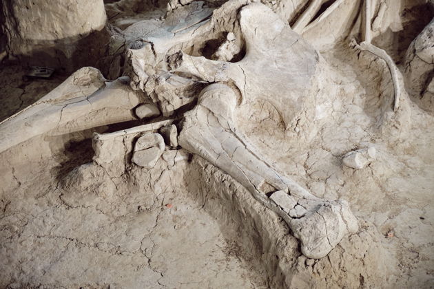 Виды Костёнки — прикосновение к миру древних людей