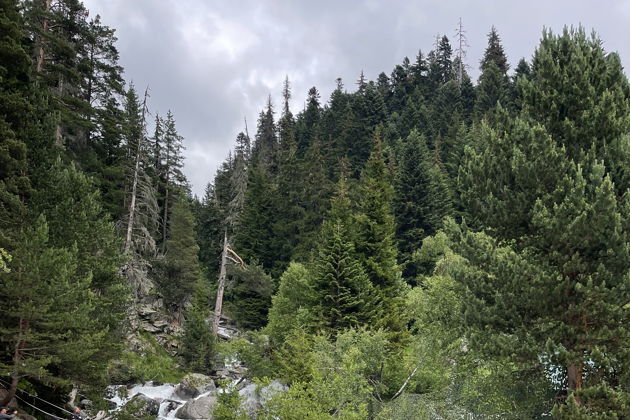 Виды Домбай — место силы: путешествие в мини-группе