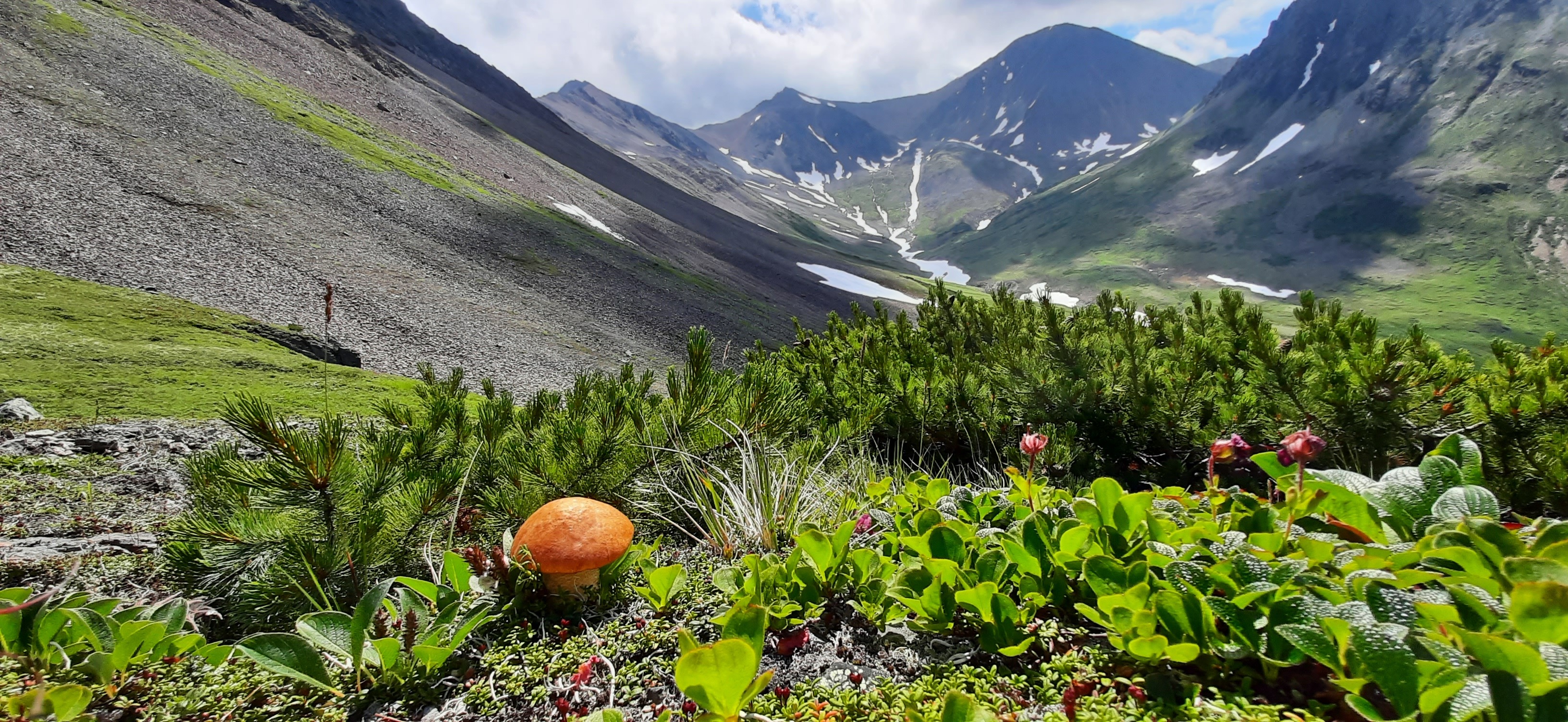 Маршрут Камчатка