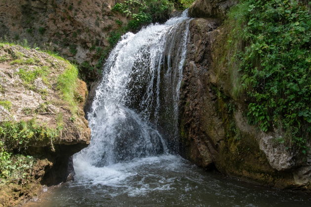 Виды Альпака-парк и Медовые водопады: уютная поездка на полдня