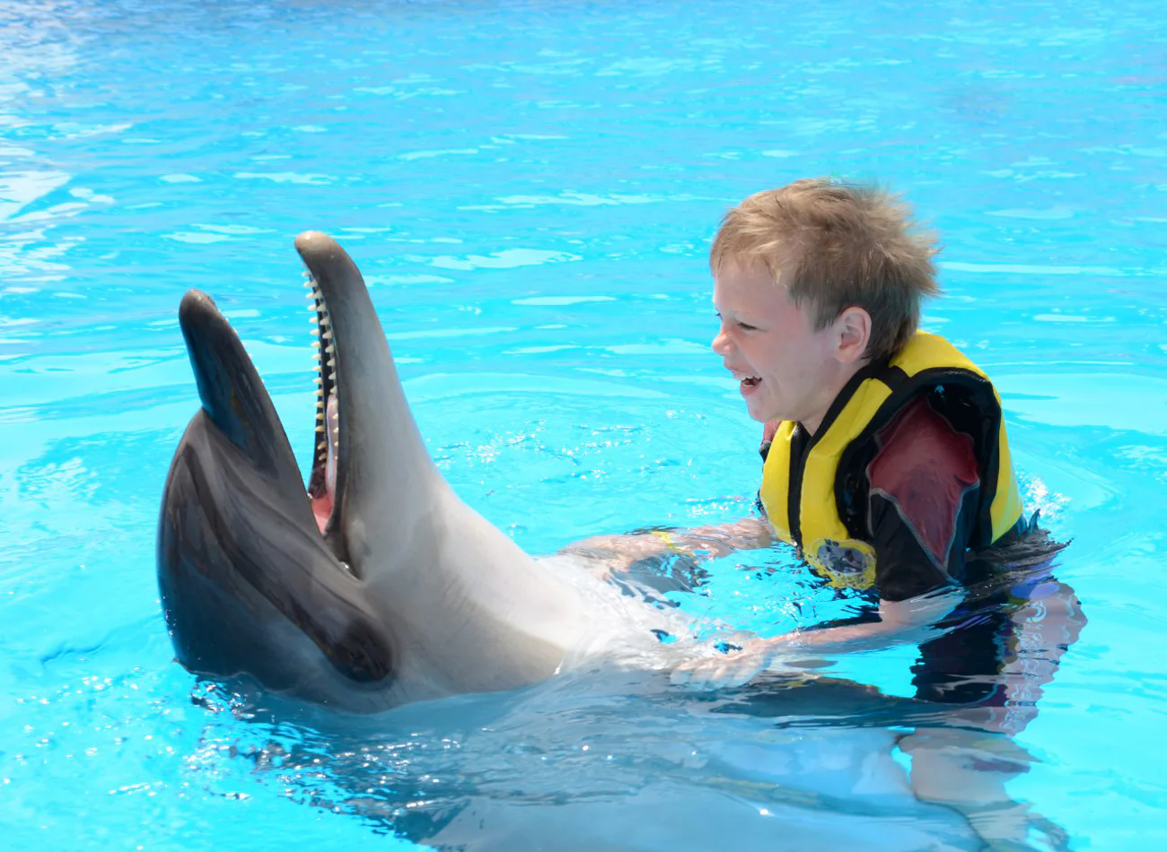 Swim with dolphin in pool 5 min — tour in Hurghada, Egypt | Pokataem