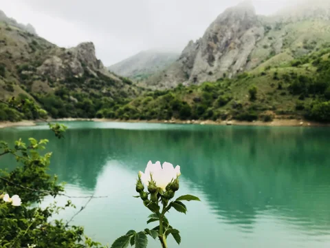 Тур в Зеленогорье: Арпатские водопады и Зелёное озеро