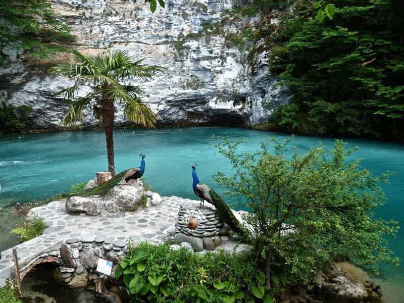 Озеро Рица- Жемчужина Абхазии (группа до 8 человек) - фото 5