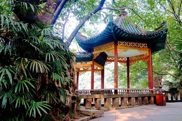 Элин Парк в Чунцине: Место для Спокойного Отдыха