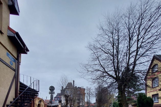 Виды Прогулка по Зеленоградску и Куршской косе