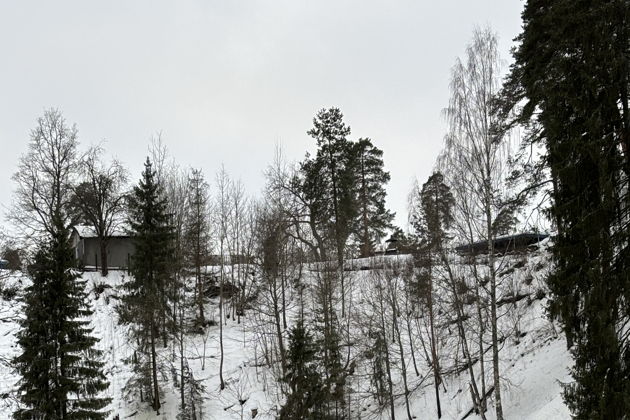 Виды SUP-прогулка по р. Оредеж в межсезонье