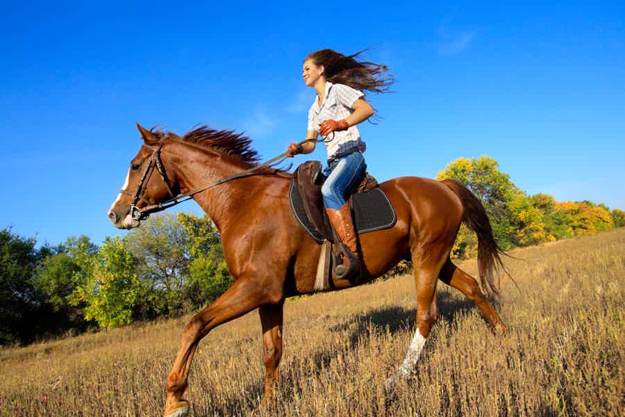 Прогулка на лошадях и общение с животными  - фото 4