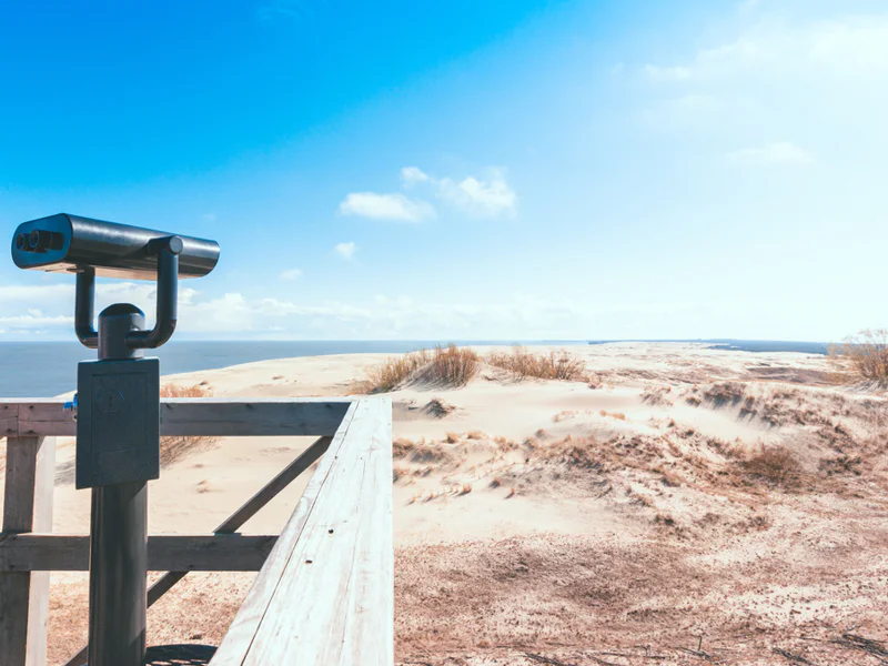 Куршская коса за один день — фото 4, Светлогорск | Покатаем