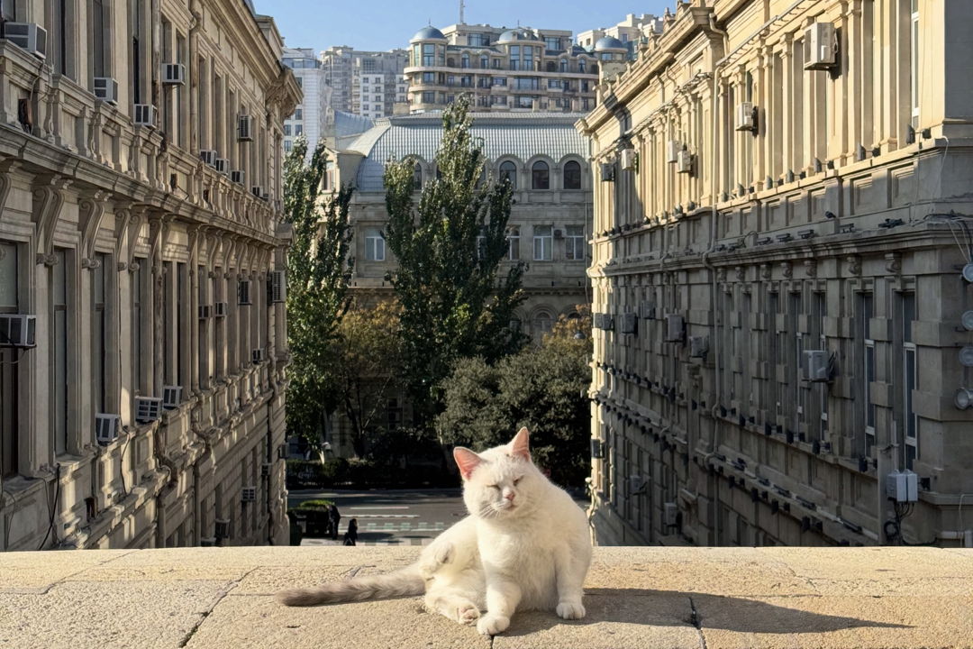 Фототур по Старому Баку: красивые кадры и истории города — фото 3