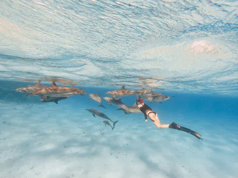 Риф Сатайя: навестите дельфинов в их доме - фото 4