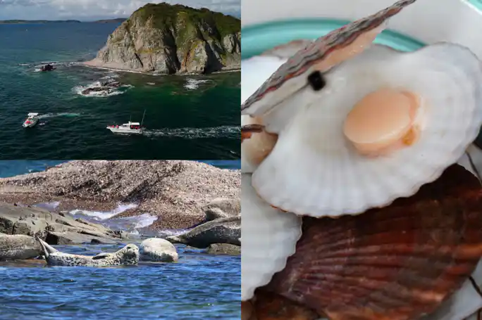 Морское путешествие к островам Японского моря и морским котикам