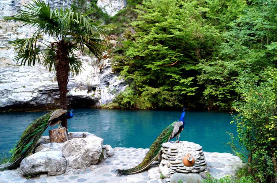Великолепная Абхазия: путешествие к озеру Рица - фото 2