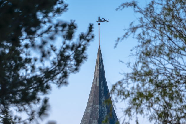 Виды Калининград. Начало — обзорное путешествие в мини-группе