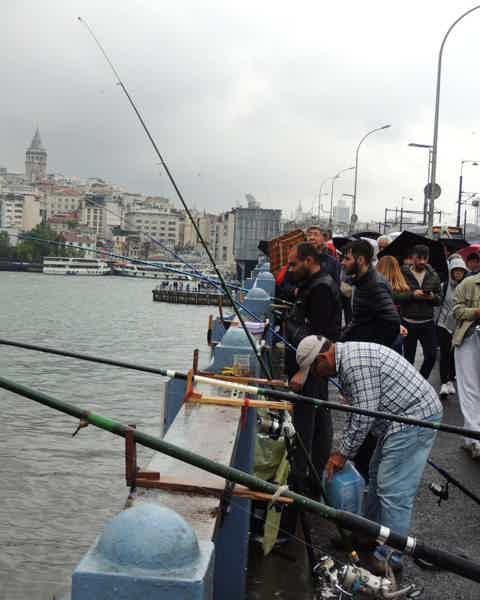Ловля Рыбы с Моста: Новый Уровень Релаксации в Стамбуле! - фото 1