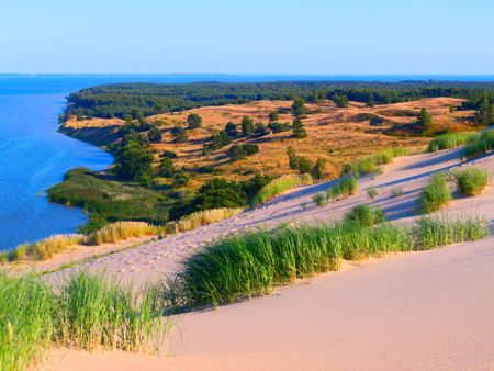 Куршская коса