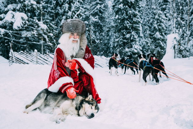 Виды Вотчина Карельского Деда Мороза, хаски и олени