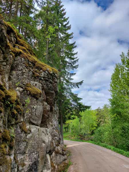 Валаам: путешествие на катере к сердцу Ладоги с краеведом - фото 5