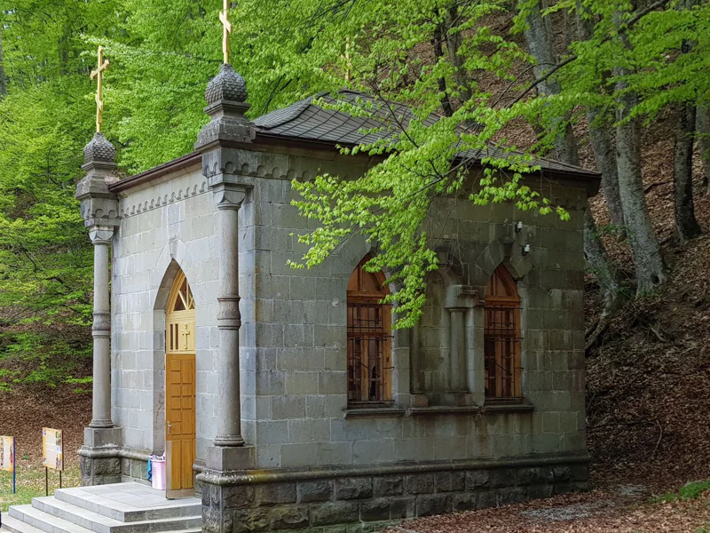 Заповедная природа. Поездка в национальный парк «Крымский» — фото 6, Ялта | Покатаем