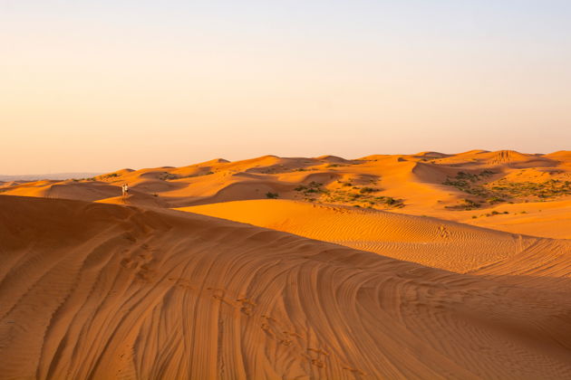 Виды Сафари по соколиной охоте и дикой природе Дубая