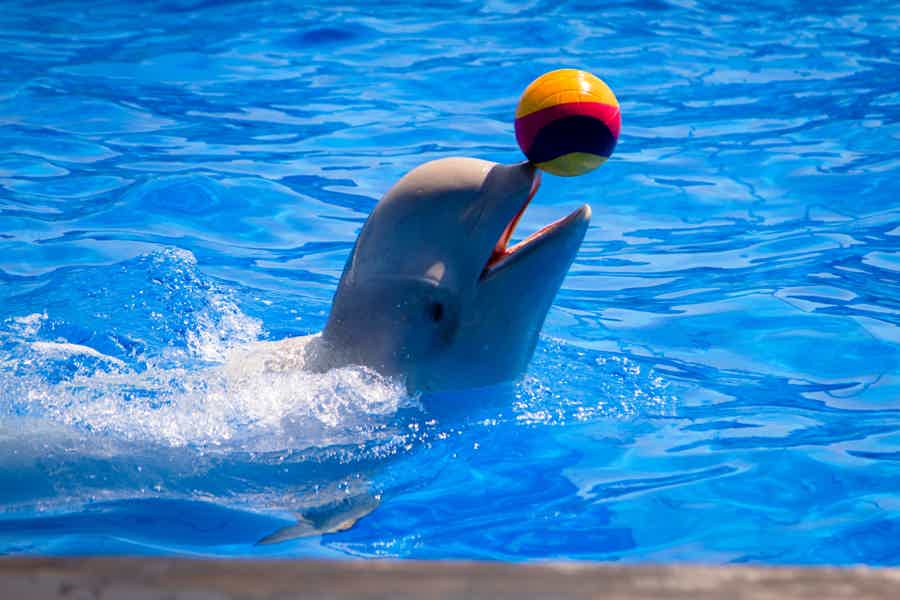 Билет в аквапарк Aquaventure World - фото 4