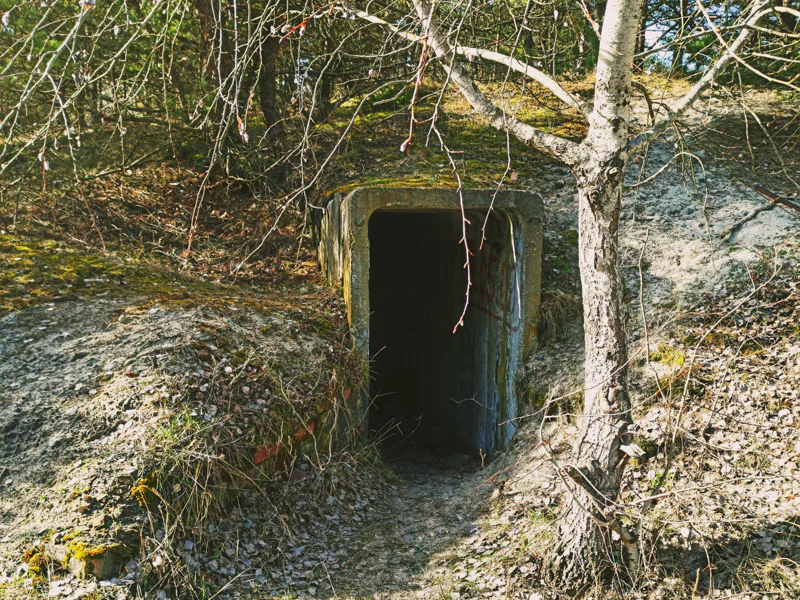 Самый запад: Янтарный, Балтийск и Балтийская коса — фото 6, Калининград | Покатаем