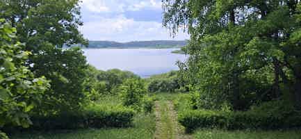 Экскурсия "Пушкинские Горы и цепные мосты в Острове (мини-группа)" - фото отзыва 1