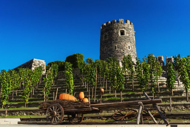 Виды Грузия 360: от морских пейзажей Батуми до вершин Казбеги