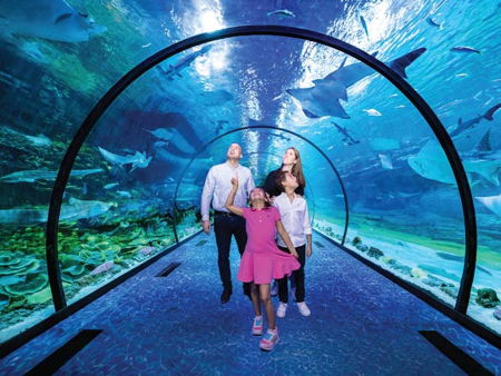 Аквариум Абу-Даби