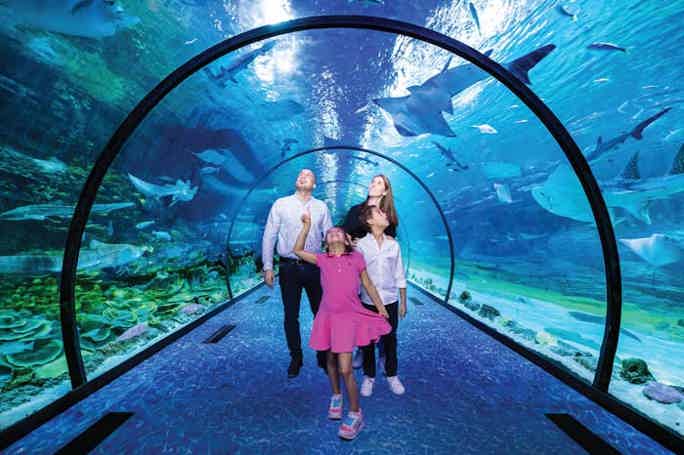В гости к Посейдону: аквариум National Aquarium Абу-Даби