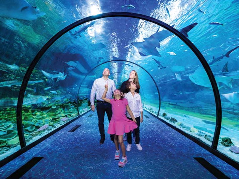 Билет в National Aquarium Абу-Даби: в гости к Посейдону - экскурсия в Абу-Даби, ОАЭ